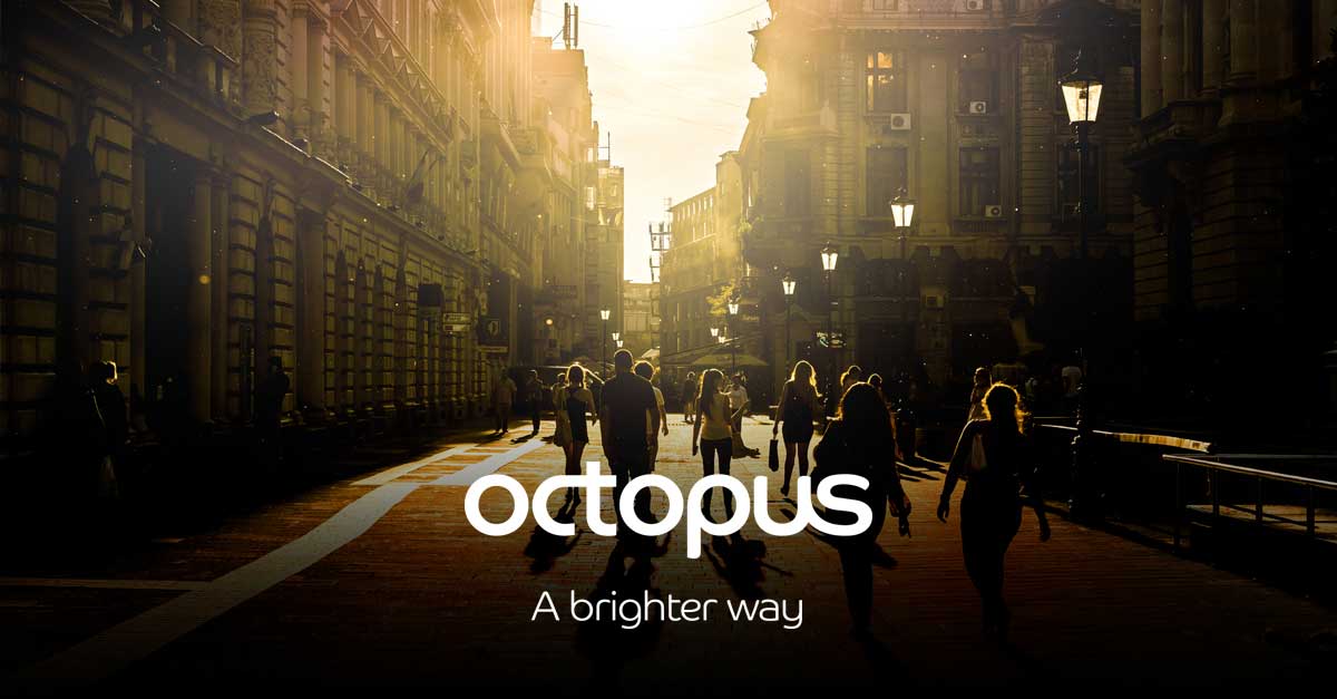 about-octopus-group-what-does-better-look-like-octopus-group